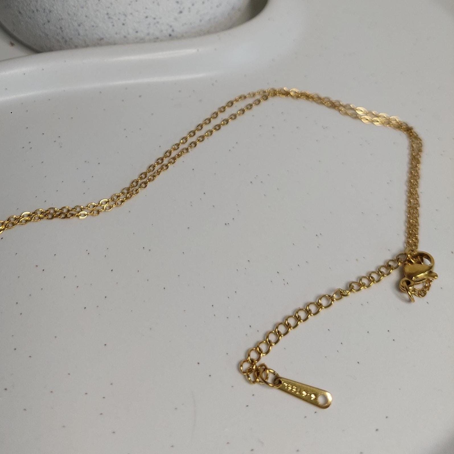 Vergoldete Edelstahlkette mit rotem Chili Anhänger | Trendige Halskette | Edelstahl Schmuck | Geschenk für Sie | Handmade Jewelry