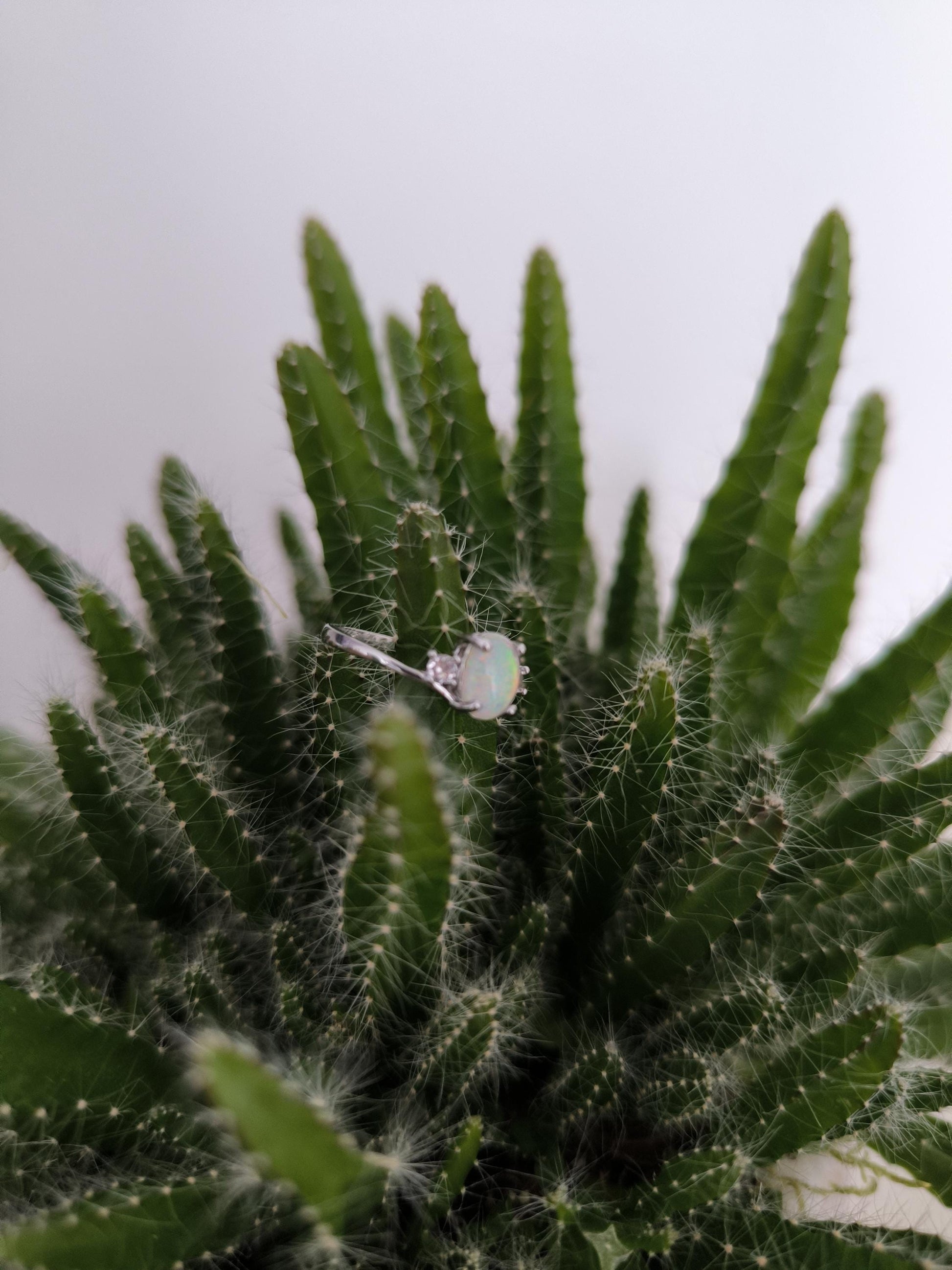 Vergoldeter Edelstahlring mit Zirkonia – Wasserfester Ring, minimalistischer Goldring, eleganter Schmuck für Frauen